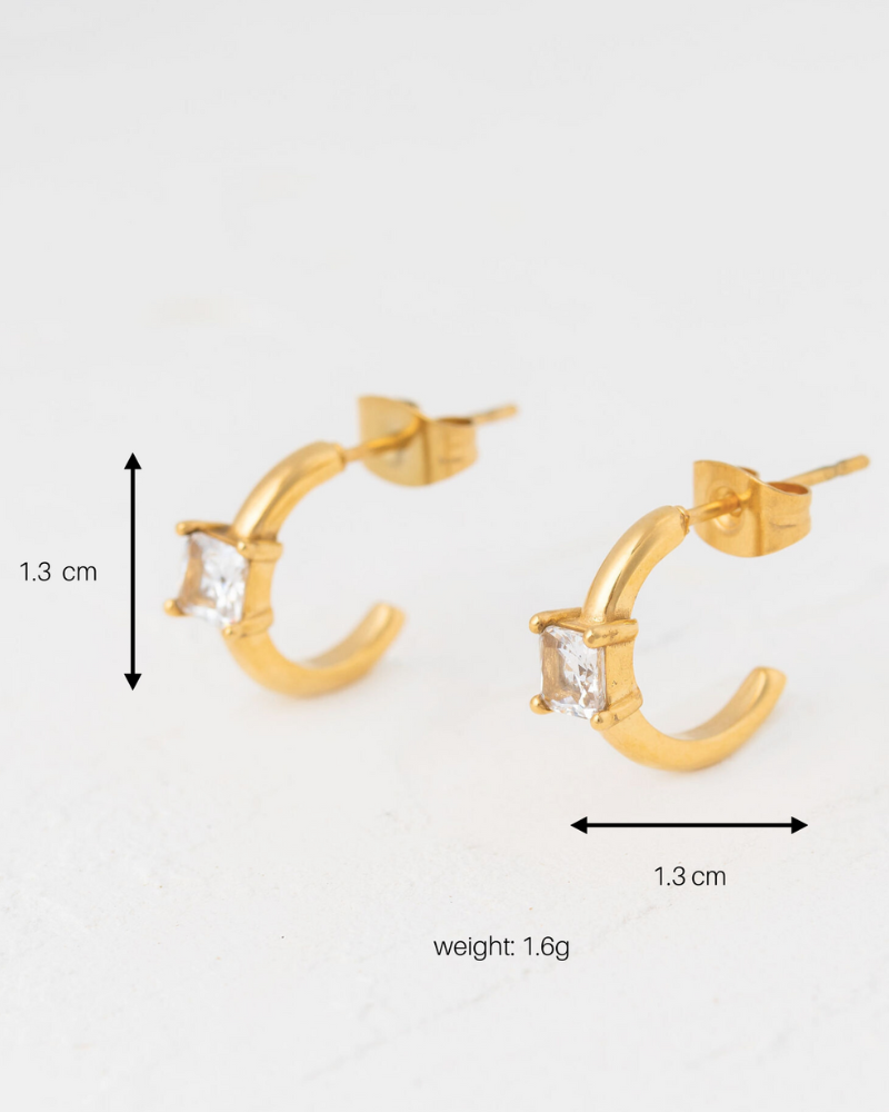 Small CZ Gabriela Earring